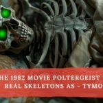 the 1982 movie poltergeist used real skeletons as - tymoff